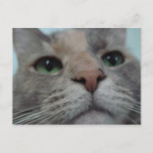 Wat doet Ya? Briefkaart (Voorkant)