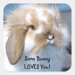 Wat een Bunny houdt van je - Fluffy Holland Lop Vierkante Sticker