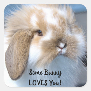 Wat een Bunny houdt van je - Fluffy Holland Lop Vierkante Sticker