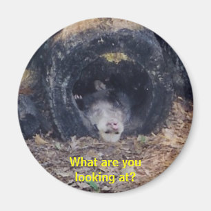 Wat een dag! -magneet magneet