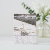 Wat een gans briefkaart (Staand voorkant)