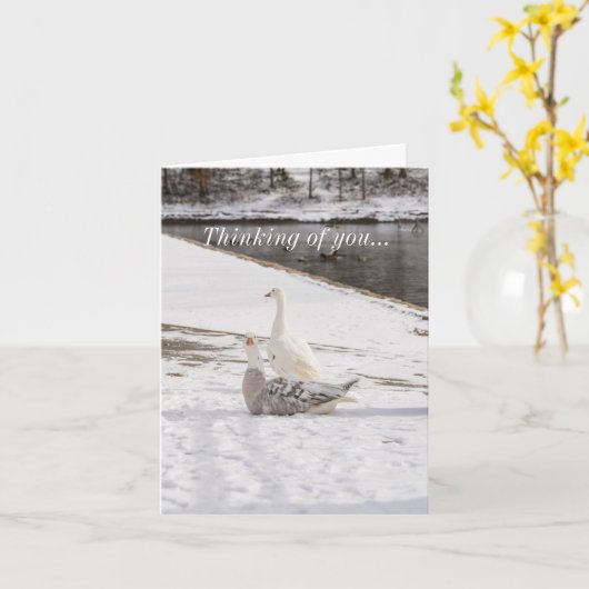 Wat een gans kaart (Gele Bloem)