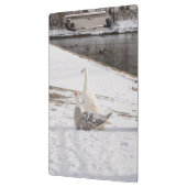 Wat een gans klembord (Links)