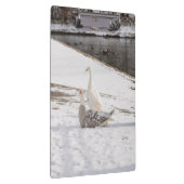 Wat een gans klembord (Rechts)