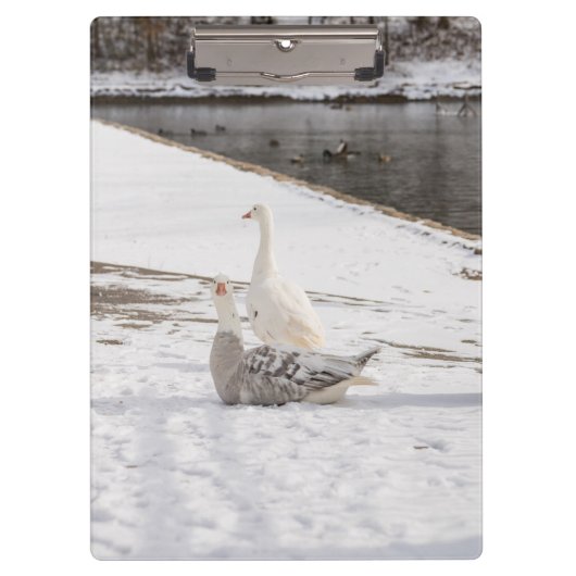 Wat een gans klembord (Voorkant)