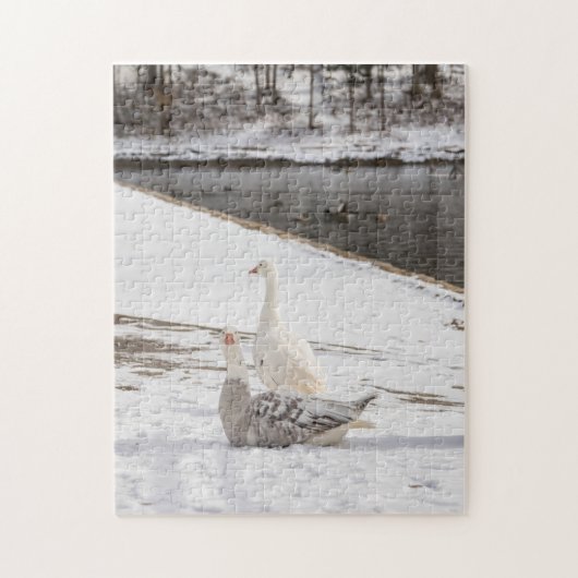 Wat een gans legpuzzel (Verticaal)