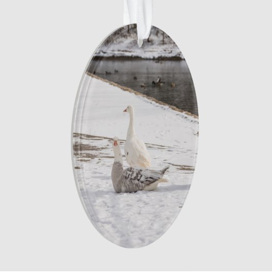 Wat een gans ornament (voorkant)