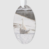 Wat een gans ornament (voorkant)