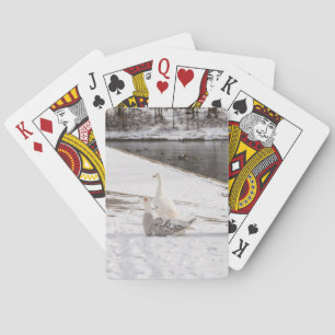 Wat een gans pokerkaarten