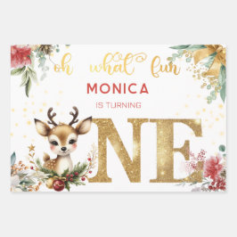 Wat een leuke eerste verjaardag kerst inpakpapier vel