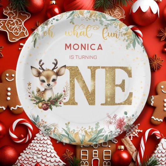 Wat een leuke eerste verjaardag kerst papieren bordje