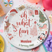 Wat een leuke kerstverjaardag papieren bordje