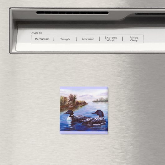 Wat een paar Loon Magneet (Insitu (Vaatwasser))