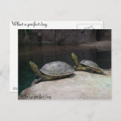 Wat een perfecte dag briefkaart (Voorkant / Achterkant)