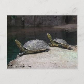 Wat een perfecte dag briefkaart