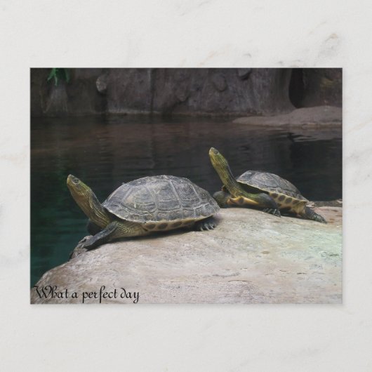 Wat een perfecte dag briefkaart (Voorkant)