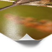 Wat een personage! Male Bushtit Foto Afdruk (Hoek)