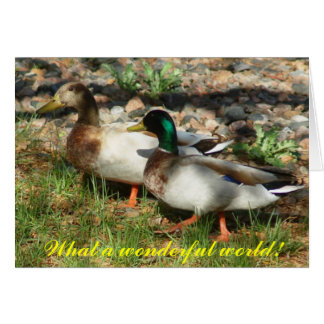 Wat een prachtige wereld!