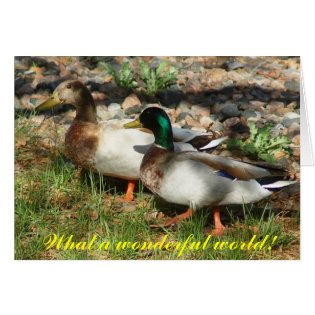 Wat een prachtige wereld! (Voorkant Horizontaal)