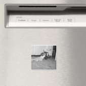 WAT EEN SLEEPMAGNEET MAGNEET (Insitu (Vaatwasser))