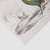 Wat een Standout! Koninklijke Rooster in een Cocky Tissuepapier (Detail)