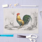 Wat een Standout! Koninklijke Rooster in een Cocky Tissuepapier (Craft)