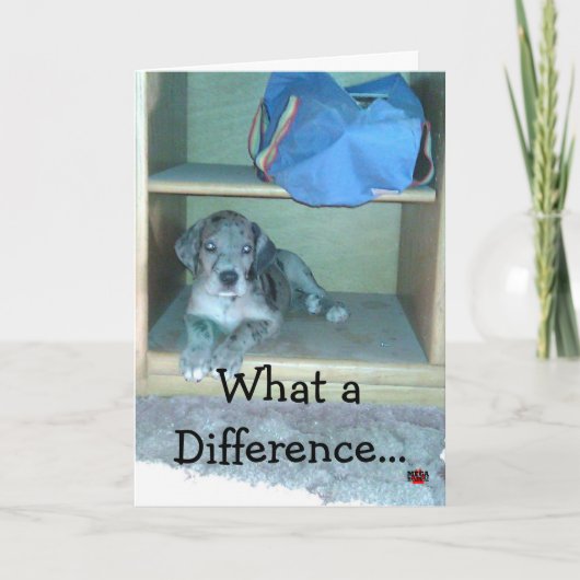 Wat een verschil maakt een jaar!!! kaart (Voorkant)