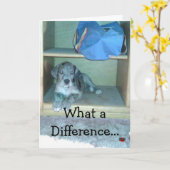 Wat een verschil maakt een jaar!!! kaart (Gele Bloem)