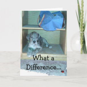 Wat een verschil maakt een jaar!!! kaart