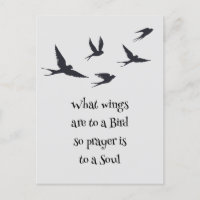 Wat een vogelgebed voor Wings is, is een sol