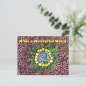 Wat een wereld briefkaart (Staand voorkant)