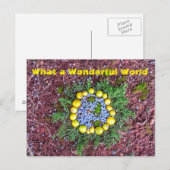 Wat een wereld briefkaart (Voorkant / Achterkant)