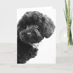 Wat? Feestdagen Kaart