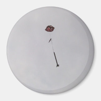 Wat gaat omhoog... magneet