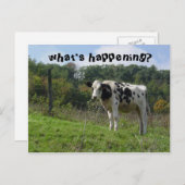 wat gebeurt er ? briefkaart (Voorkant / Achterkant)