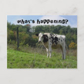 wat gebeurt er ? briefkaart (Voorkant)