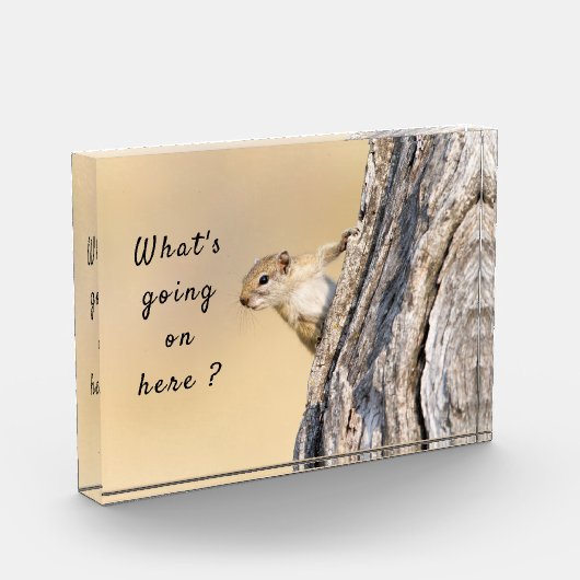 Wat gebeurt er hier met een eekhoornfoto met tekst fotoblokken (Links)