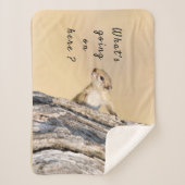 Wat gebeurt er hier met een eekhoornfoto met tekst sherpa deken (Voorkant)