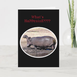 "Wat gebeurt er??? / HIPPOPOTAMUS BRULLENDE GROET Feestdagen Kaart