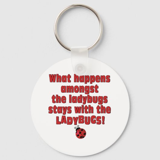 Wat gebeurt er? . . Ladybugs Sleutelhanger (Voorkant)