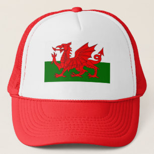 Wat gebeurt er? trucker pet