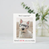 Wat gebeurt er? Westie Dog-bril Briefkaart (Staand voorkant)