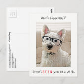 Wat gebeurt er? Westie Dog-bril Briefkaart (Voorkant / Achterkant)