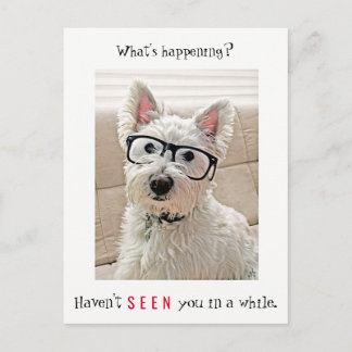 Wat gebeurt er? Westie Dog-bril Briefkaart