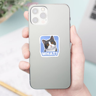 WAT? Grappige Kat Sticker – Schattige Verwarde Kat