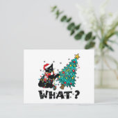 WAT Grappige zwarte kat sinterklaas duwen kerstboo Briefkaart (Staand voorkant)