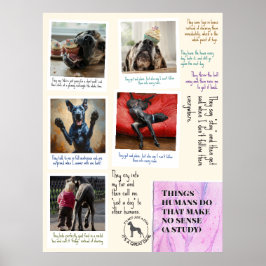 Wat Great Danes denken over mensen Poster