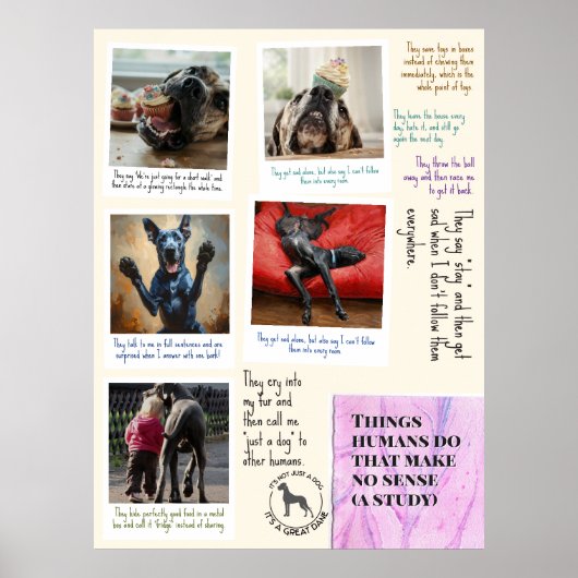 Wat Great Danes denken over mensen Poster (Voorkant)