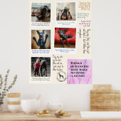 Wat Great Danes denken over mensen Poster (Keuken)