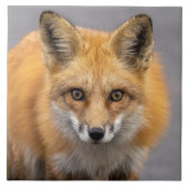 Wat heb je grote ogen tegeltje (Voorkant)